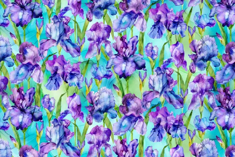 Infatuation Iris Floral Packed Irises on Dark Purple