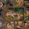Into the Woods – 350 Piece Family Puzzle