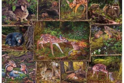 Into the Woods – 350 Piece Family Puzzle