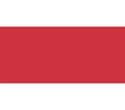 Jacquard Basic Dye – Red