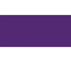 Jacquard Basic Dye – Violet