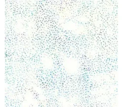 Jewel Batiks Dotted Stripe in Vegas Purple