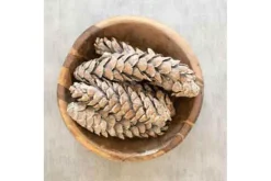 Kalalou Bag of Dried Zinnias