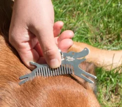 Kikkerland Cat Bag Clips – 6 Piece