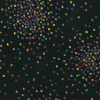 Laurel Burch Basic Multicolor Confetti Toss on Black.