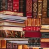 Library Book Shelf Allover with Metallic Highlights