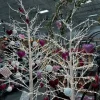 Lighted Birch Tree – 4-foot