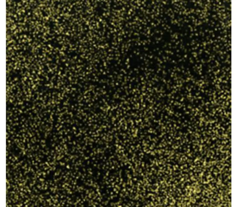 Lotus Garden Cherry Blossoms on Black w/Gold Metallic