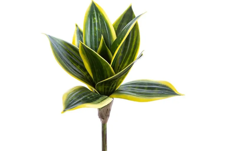 19″ Magnolia Spray, Rose