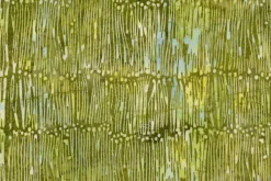 Meadow Brook Batiks Queen Anne’s Lace in Multi Green