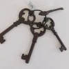 Metal Keys – 4 Keys – 7-inch