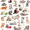 Micro Stickers – Cat