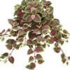 20″ Mini Coleus Bush, Red