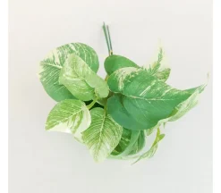 10″ Mini Pothos Leaves Pick
