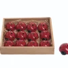 Mini Resin Ladybugs – 1 Piece