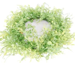 Mini Wreath – Pyschotria – 11.5-inch