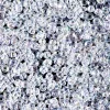 11/0  Miyuki Round Seed Bead – Crystal AB