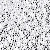 11/0  Miyuki Round Seed Bead – White Ceylon