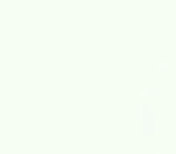 Moda Bella Solid Quilting Cotton – Bleached White