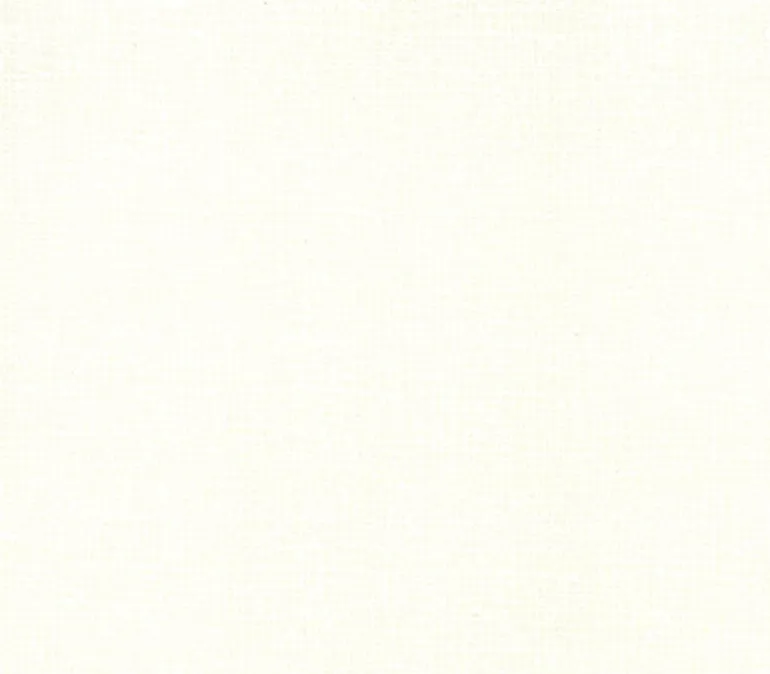 Moda Robin Pickens Thatched 108 Inch Quilt Wideback In Cream