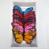 7″ Monarch Butterfly (12 Count)