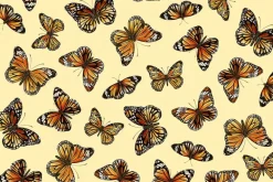 Monarch Meadows Florals on Black