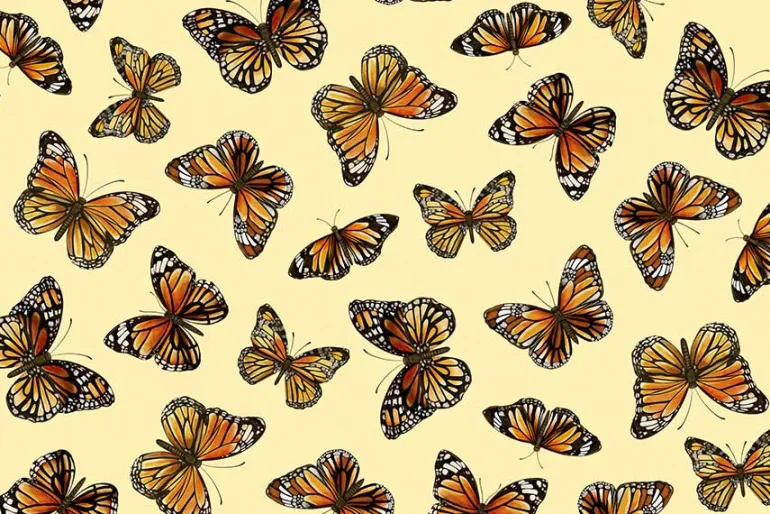 Monarch Meadows Florals on Black