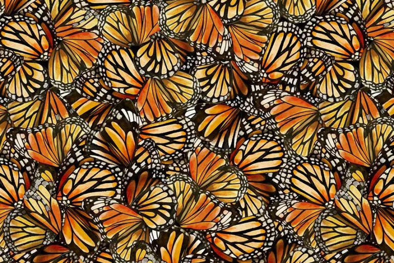 Monarch Meadows Florals on Cream