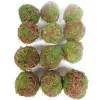 Mossy Ball Fillers Set – Small – 12 Piece