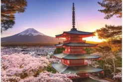 Mount Fuji Cherry Blossom – 1000 Piece Puzzle
