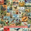 National Birds of the World – 2000 Piece Puzzle