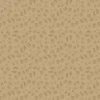 National Parks Legend Footprints on Sand