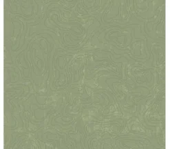 National Parks Topographic in tonal Green