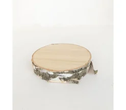 Natural Wood Round Disk – 3.75-inch x .75-inch