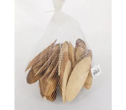 Natural Wood Slice Disc – Oval for Crafts & Décor