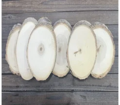 Natural Wood Slice Disc – Oval for Crafts & Décor