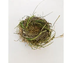 Nest with Branches – 4-inch