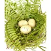 10″ Nest with Eggs & Ferns