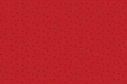 North Pole Christmas North Pole Stars 12×12 Patterned Paper