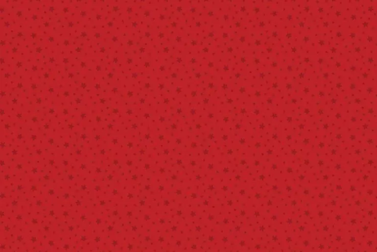 North Pole Christmas North Pole Stars 12×12 Patterned Paper