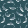 Pacific Northwest Wild Humpback Whales on Coastal Blue