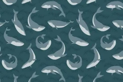 Pacific Northwest Wild Orcas on Aqua