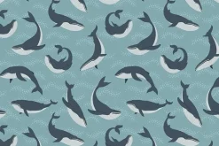 Pacific Northwest Wild Salmon on Gray