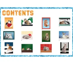 Paint by Sticker – Cats