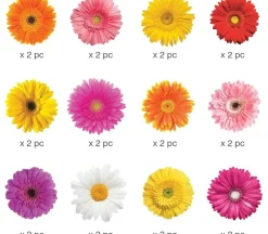 Paper House Sticker Pack – Delightful Daisies – 24 Piece