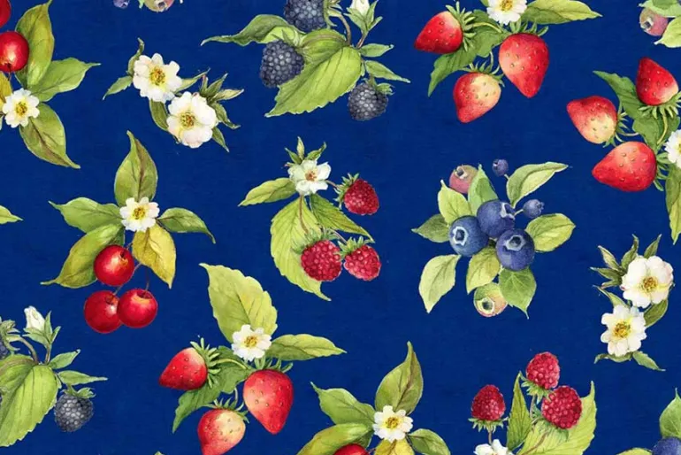 Patchwork Picnic Berry Toss on Navy