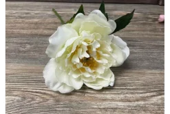 13.5″ Peony Stem, Cream