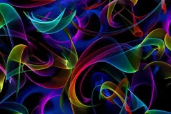 Petal Power Multicolor Neon Smoke on Black