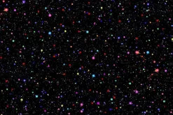 Petal Power Space Out Dots Multicolor on Black