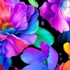 Petal Power Vivid Large Florals on Black